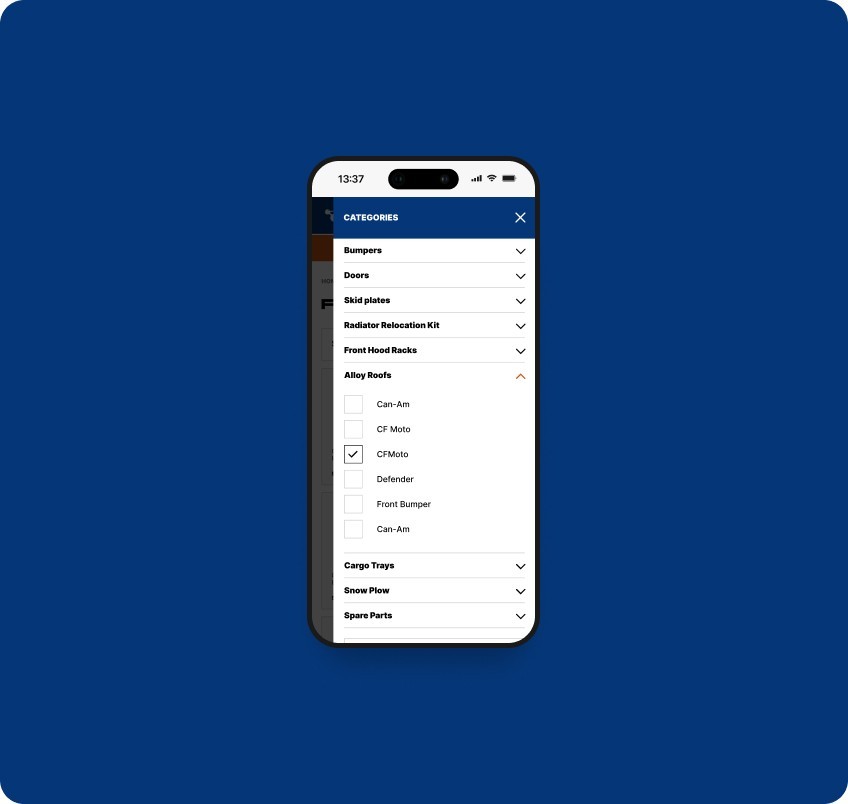 Фотография результата проекта - Rival